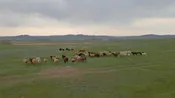 Крестьянское хозяйство