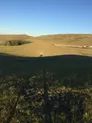 Действующее крестьянское хозяйство
