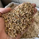 Продажа зерна