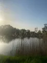 Рыбное хозяйство