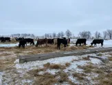 КХ фермерское хозяйство в 40 км от Алматы