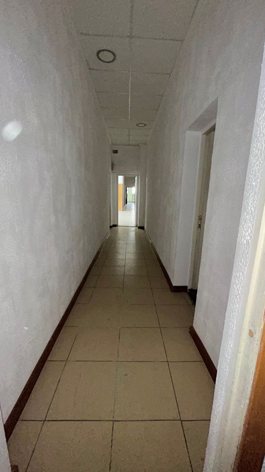 Коммерческое помещение 257 м²
