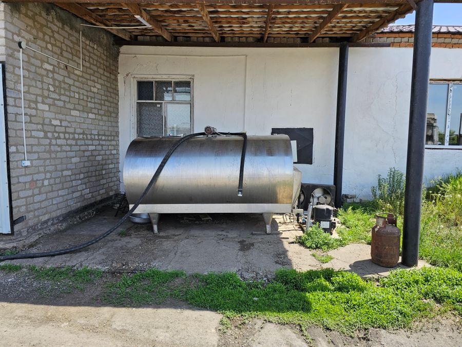 Бизнес в сфере закупа молока