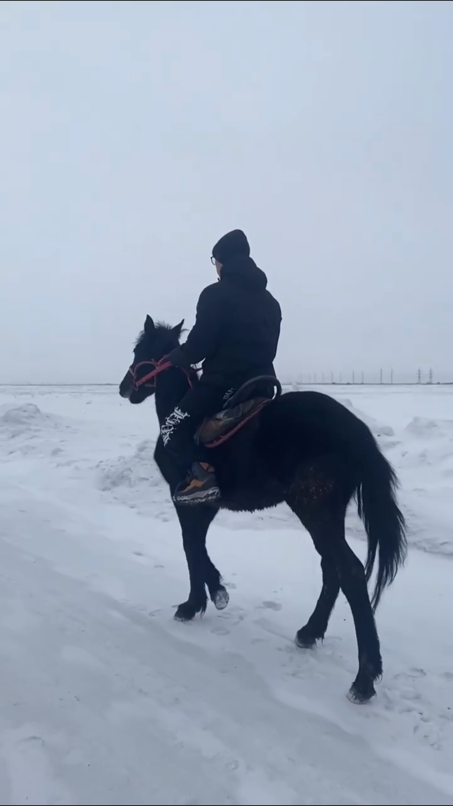 Конный клуб