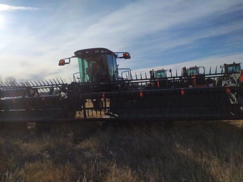 Крупное зерновое хозяйство 32000 га
