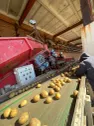 Высокодоходный агропроект с экспортом в Китай