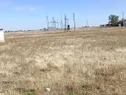 Сельскохозяйственное предприятие