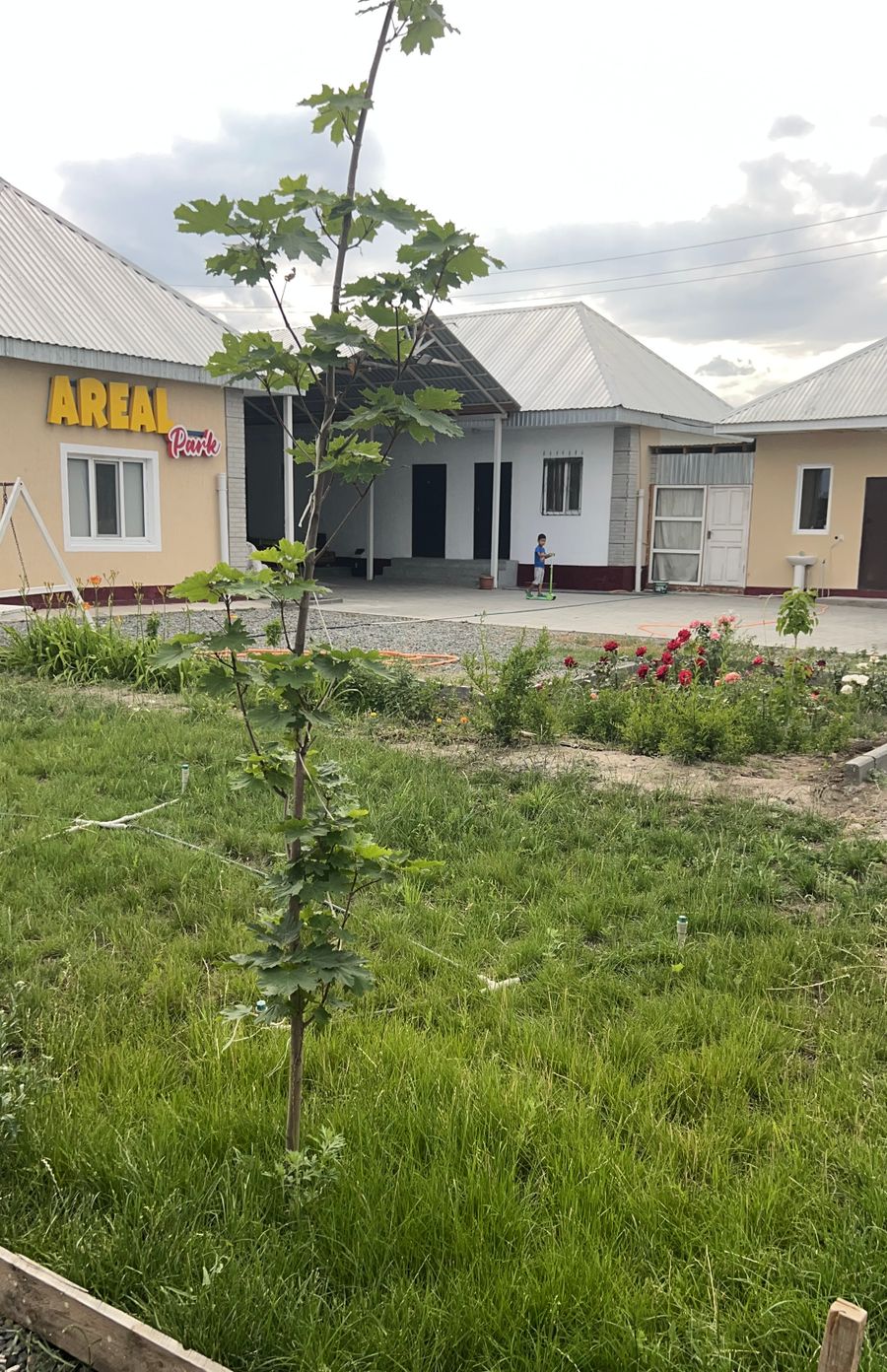 Дом отдыха на озере Алаколь