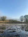 Рыбное хозяйство