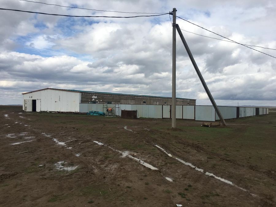 Фермерское хозяйство