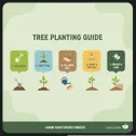 Сервис посадки деревьев