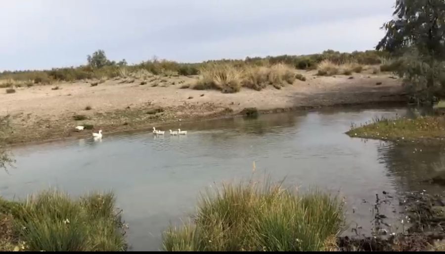 Крестьянское хозяйство в селе Шелек