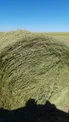 Крестьянское хозяйство