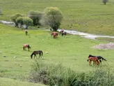 Туристический бизнес в Саты, Кольсай, Каинды