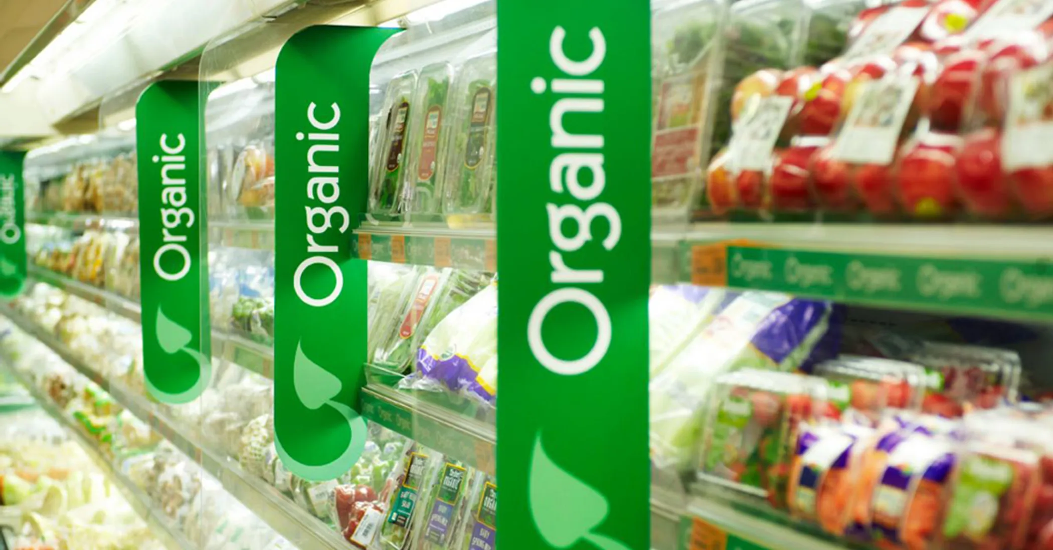 Экологическая продукция. Organic foods are. Экологически чистые продукты. Органические продукты. Organic foods are.