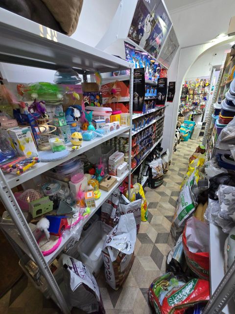Действующий зоомагазин