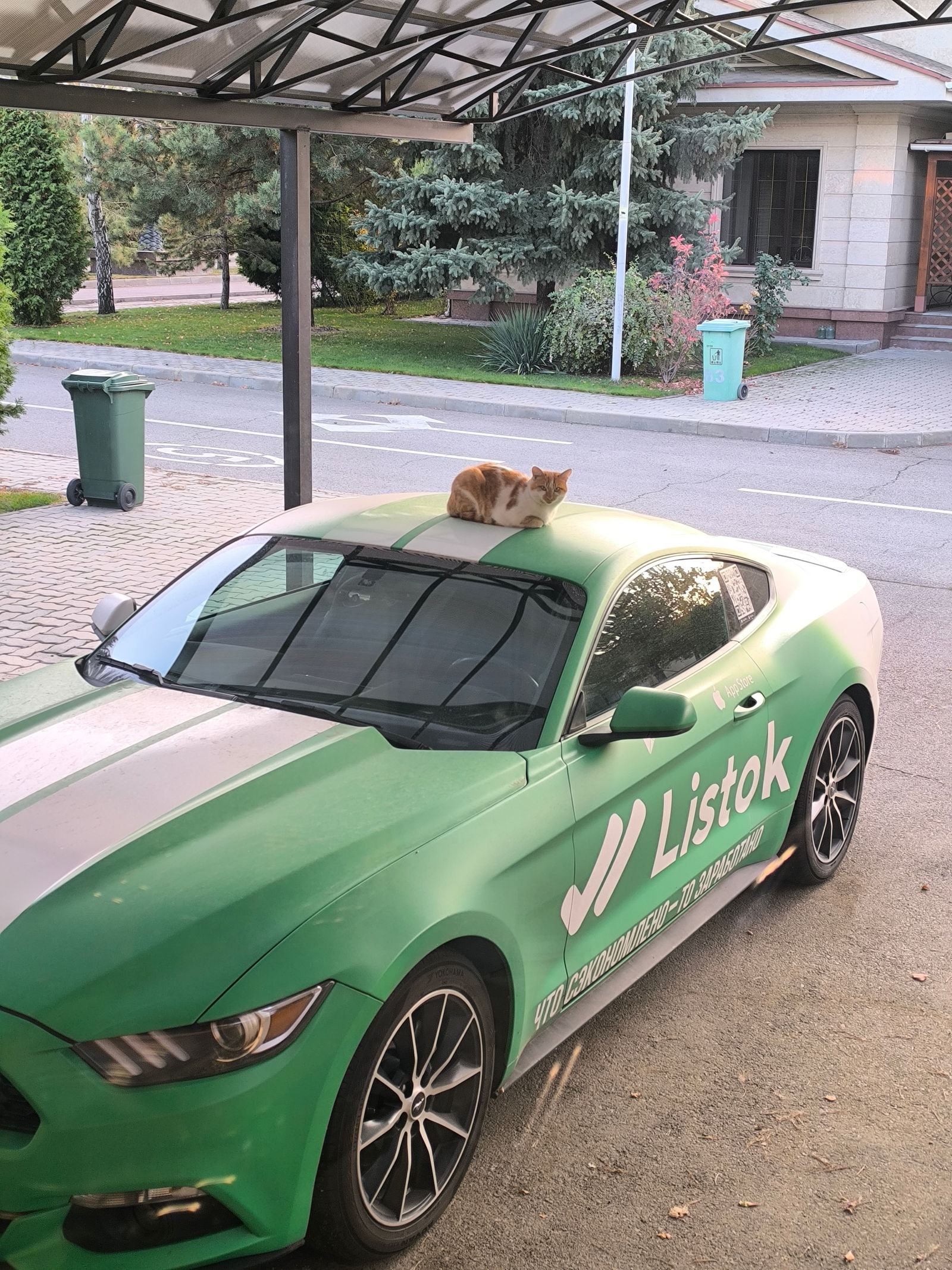 Приложение Listok