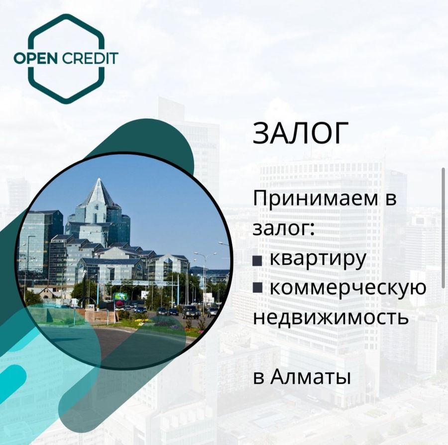 Микрофинансовая организация