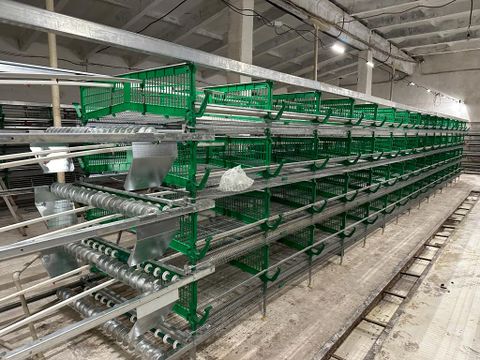 Перепелиная ферма. Продажа готового бизнеса