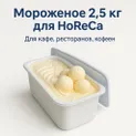 Бизнес по продаже мороженого