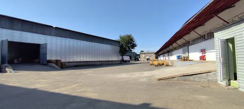 Торговая компания