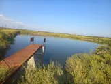 Форелевое хозяйство