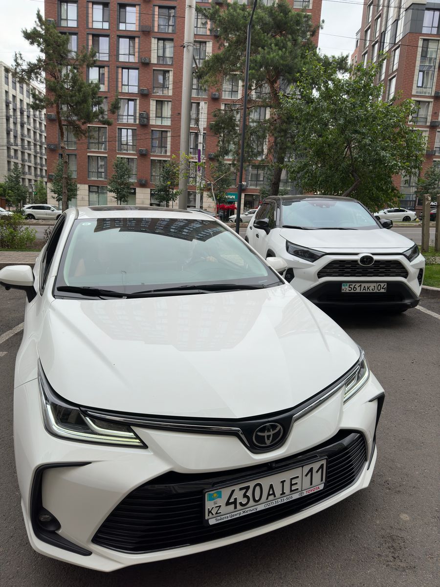 Бизнес по аренде автомобилей