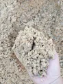 Месторождение «Алтыбай»