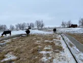 КХ фермерское хозяйство в 40 км от Алматы