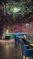 Lounge bar в центре города