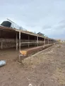 Ферма в Туркестанской области