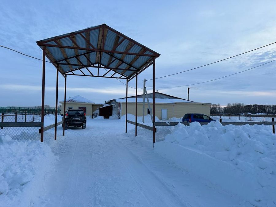 Перепелиная ферма. Продажа готового бизнеса