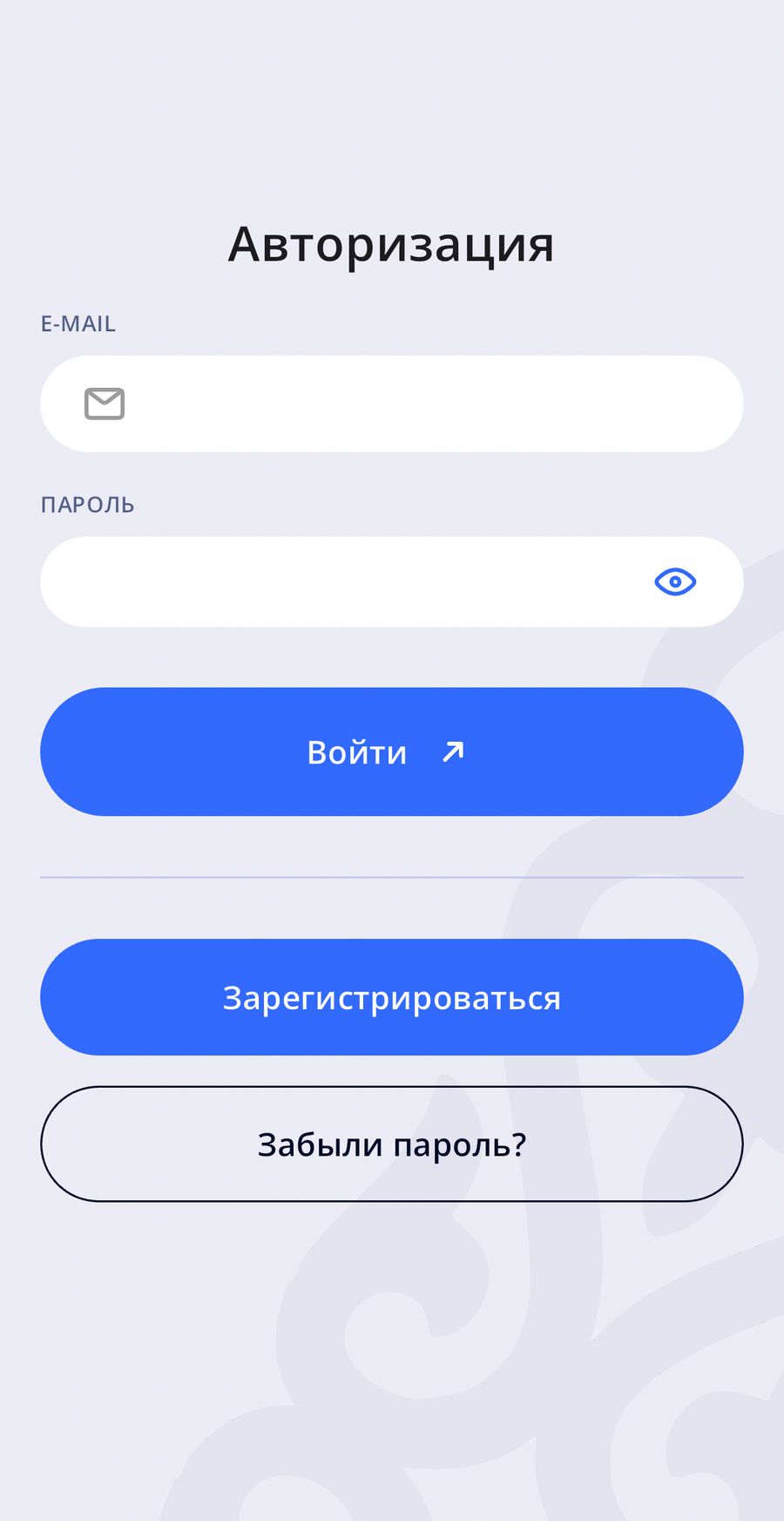 Платформа “Naiza” для МСБ