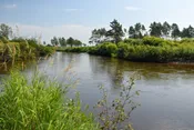 Рыбное хозяйство с водоёмом