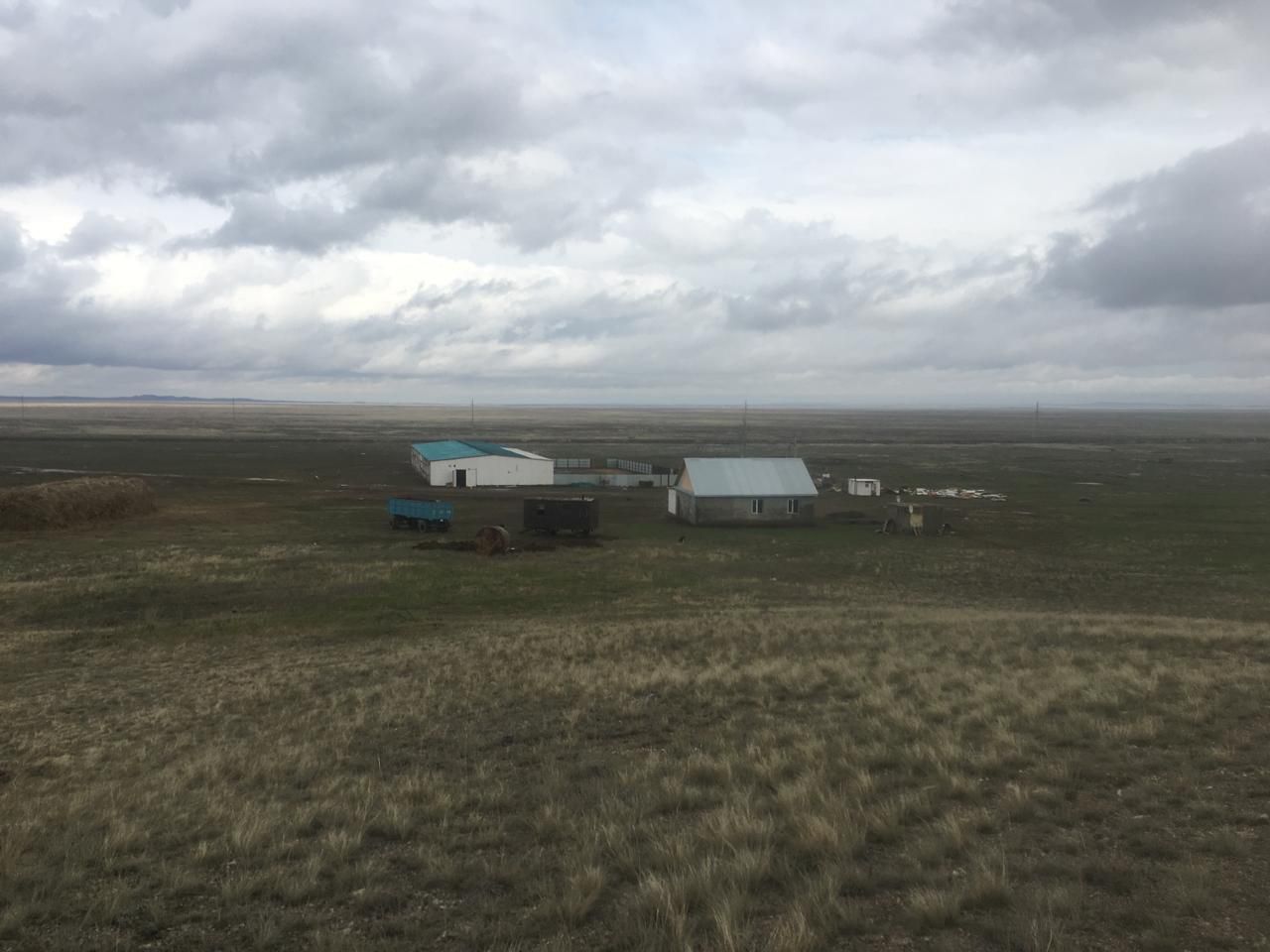 Фермерское хозяйство