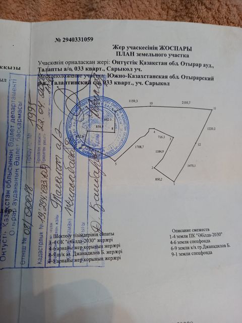 Разведение верблюдов