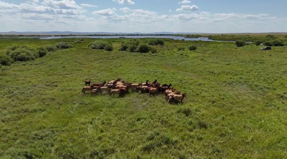 Крестьянское хозяйство