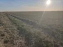 Фермерское хозяйство