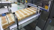 Производство сухариков «Флинт»
